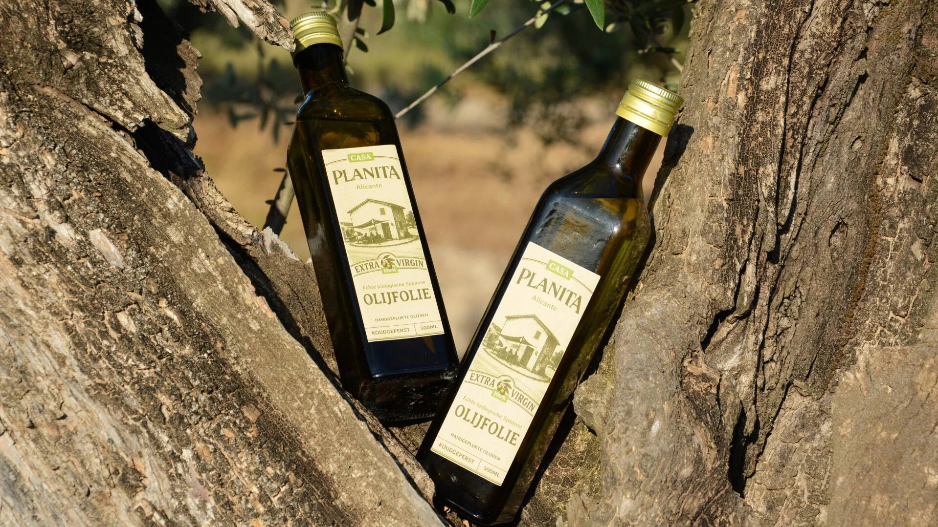 Mooie foto van planita olijfolie flessen